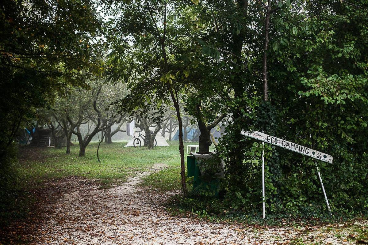 Holiday Park - Camping Near Venice 扎拉里奥 外观 照片
